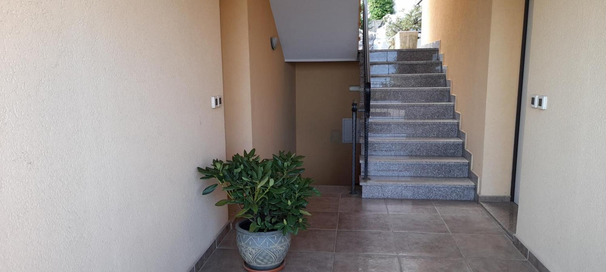 Apartma No. 1